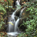 Waterfall in a Peacefull Scottosh Forest